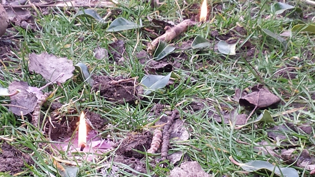 20150202 104603 1024x576