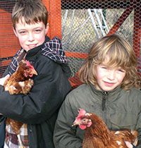 Education with animals